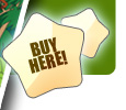 Buy Stanley Saves The Amazon Rainforest